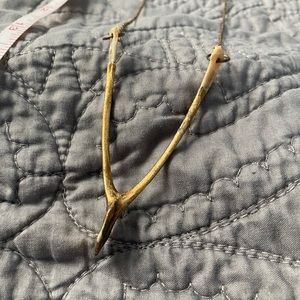 wishbone necklace (real bone) art piece jewelry